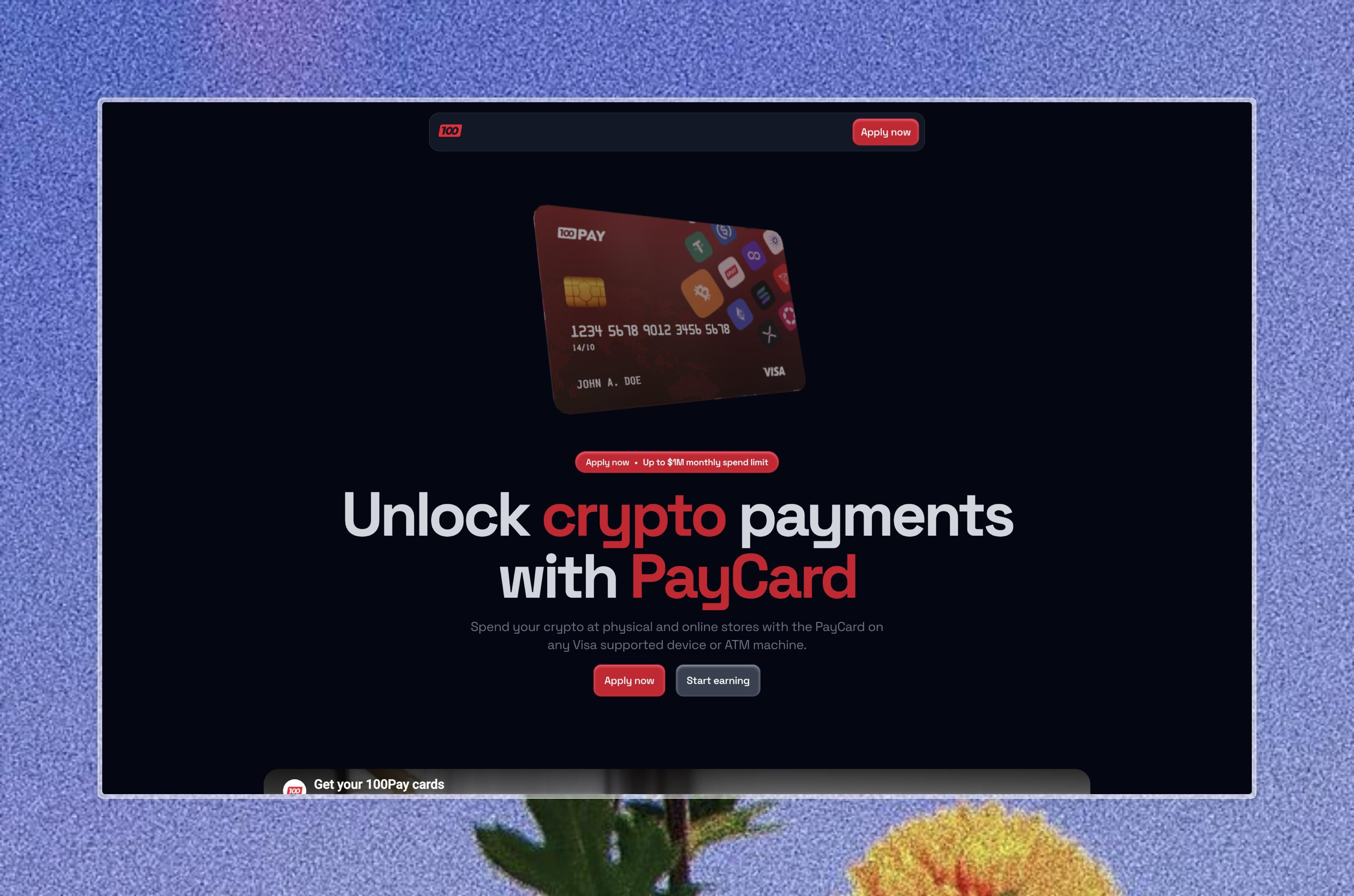 PayCard by 100Pay